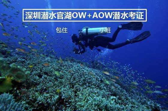 战场女武神
